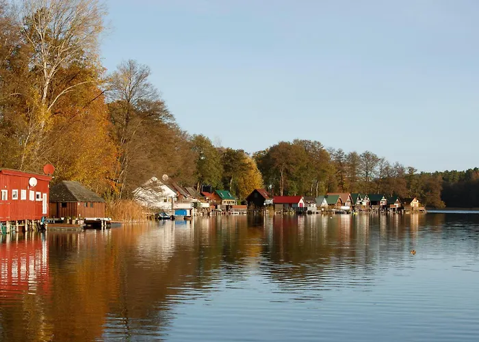 La Vie ריינסברג
