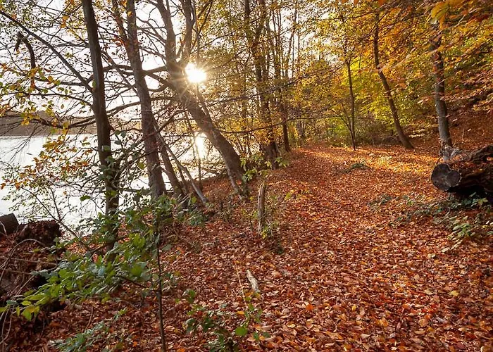 La Vie بيت للعطل *