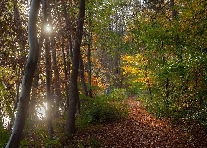 בית נופש La Vie *