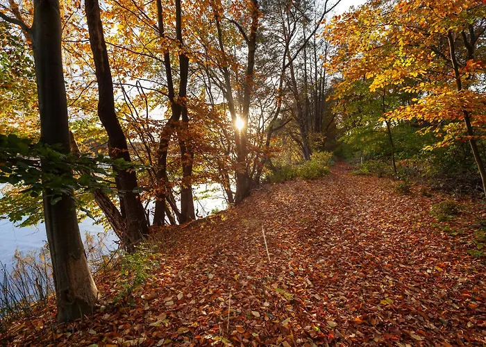 La Vie * ריינסברג